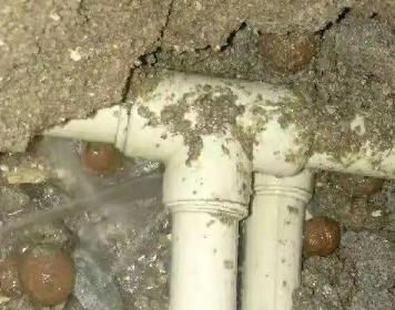 临渭测漏水多少钱