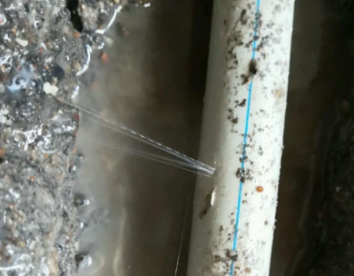 临渭测漏水哪家好