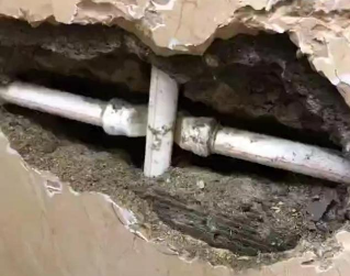 临渭测漏水哪家好