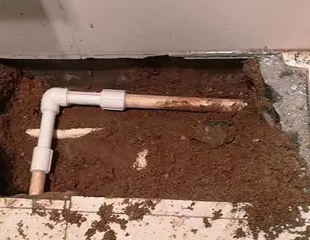 临渭测漏水哪家好