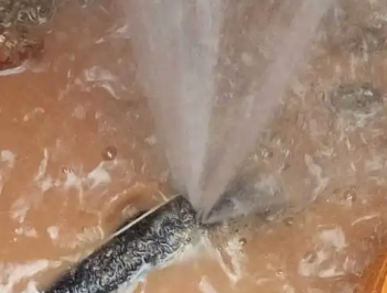 临渭水管漏水检测哪家好