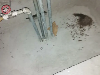 临渭卫生间测漏水价格明细