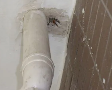 临渭漏水检测哪家好